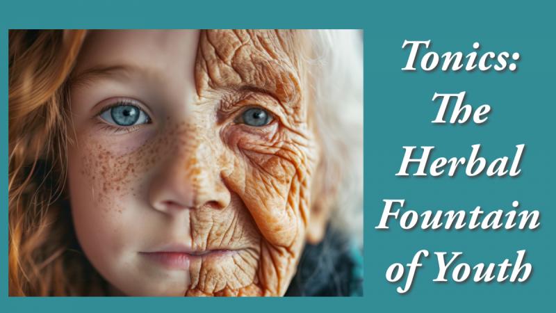 Tonics: The Herbal Fountain of Youth: Slowing the Aging Process - Part 2